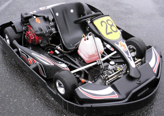 BIZ Kart